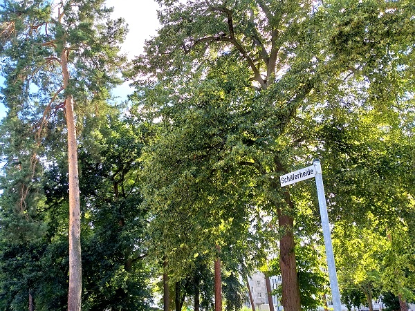 Nneka Chidolue-Hoppe, Straße